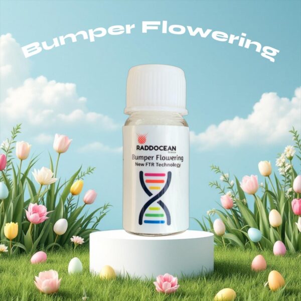 Bumper Flowering